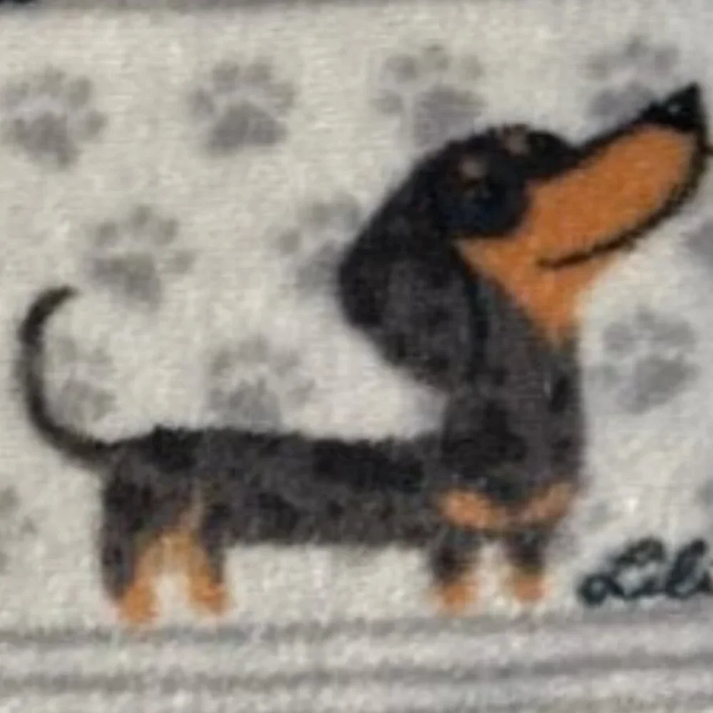 BRAND NEW DACHSHUND / DOXIE / WEINER WEENIE DOG 60